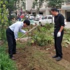 物业案例：业主在小区里种的菜被物业挖了，法院说：物业没错！