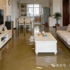 物业公司未尽到管理维护义务致使业主权益受损，应予赔偿