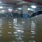 暴雨导致地下车库被淹，业主车辆受损，物业公司担责吗？
